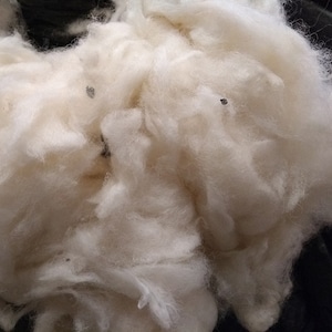chai added a photo of their purchase