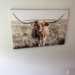 Chelsie added a photo of their purchase