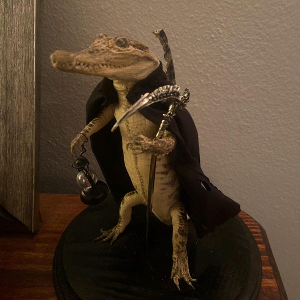 Rabbit Bunny Clown Mummified Skeleton Specimen Wet Dried Preserved ...