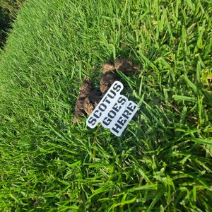 Inactive account added a photo of their purchase