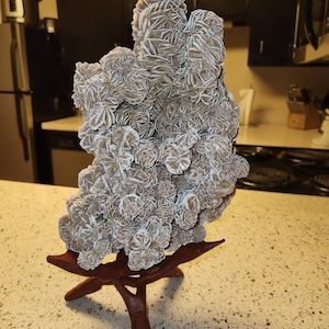 Large Wood Display Stand I Large Wooden Display Stand I Conch Shell ...