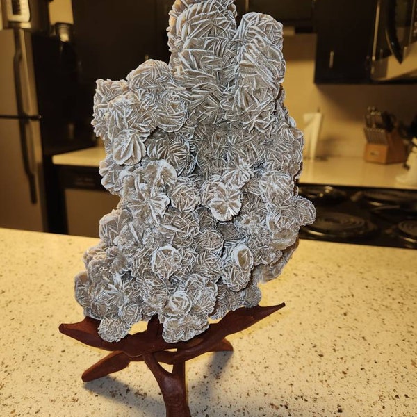 Large Wood Display Stand I Large Wooden Display Stand I Conch Shell ...