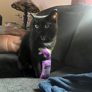 Amy added a photo of their purchase
