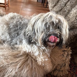 Melanie added a photo of their purchase