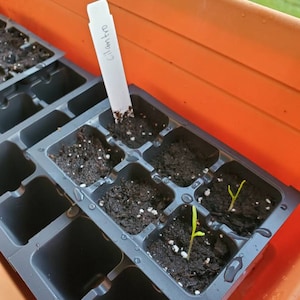 Morgan ha añadido una foto de su compra