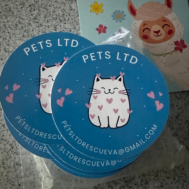 Lot De 2 Posters/Stickers JEUTEL – Arcades – Laminés Et Autocollants