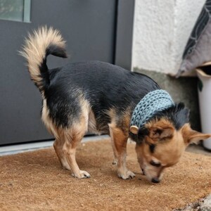 Nina added a photo of their purchase
