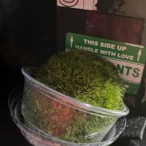 Mateo added a photo of their purchase