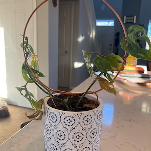 Jenny added a photo of their purchase