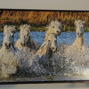 Cathleen added a photo of their purchase
