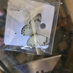 David added a photo of their purchase