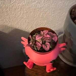 Andrea added a photo of their purchase