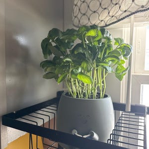 Julie added a photo of their purchase