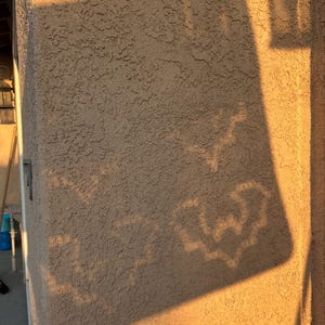 annamille added a photo of their purchase