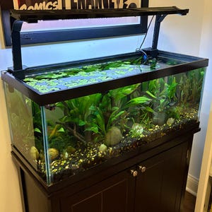 Andrew added a photo of their purchase