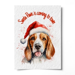 Beagle ha añadido una foto de su compra
