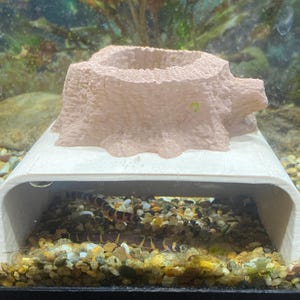 Monica added a photo of their purchase
