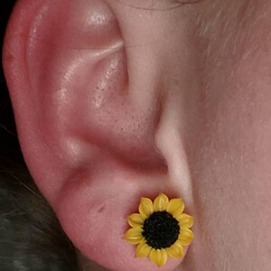 Sunflower ear best sale gauges