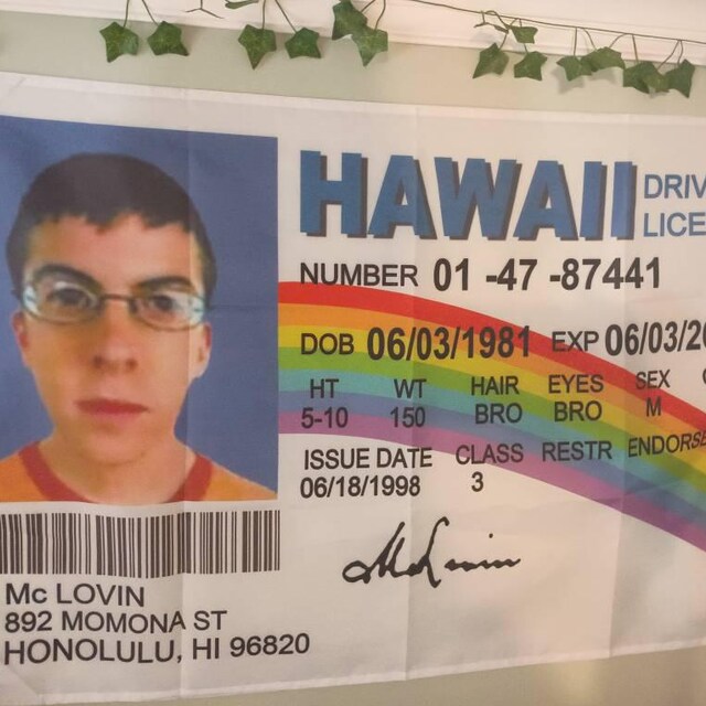 Mclovin Driver License Flag: Funny Tapestry, 100D Polyester - Etsy