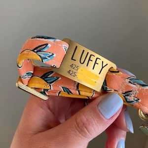 Aria ha añadido una foto de su compra