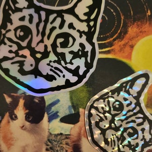 Bunny added a photo of their purchase