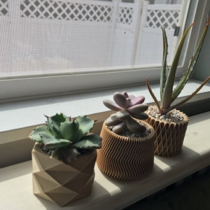 Katie added a photo of their purchase