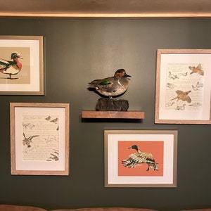 Mallard Duck Painting, Artwork for Modern Cabin Decor, Gifts for