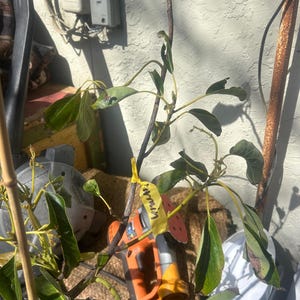 dave added a photo of their purchase