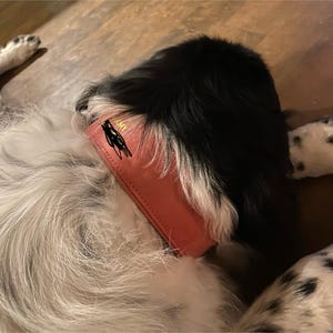 Catherine heeft een foto van de aankoop toegevoegd