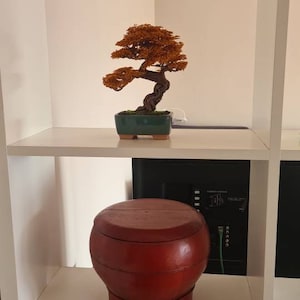 Miriam ha añadido una foto de su compra