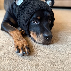 Carrie added a photo of their purchase