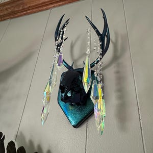 Carrie added a photo of their purchase