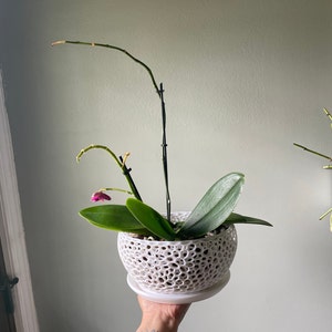 Nancy added a photo of their purchase