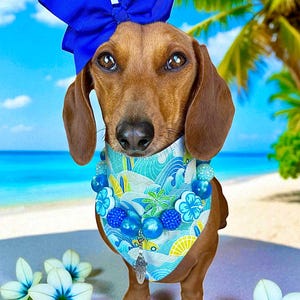 Debbi added a photo of their purchase