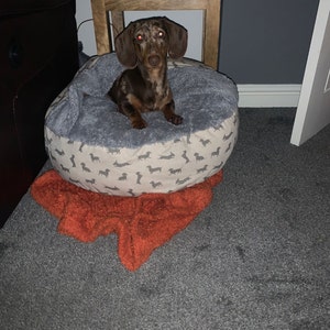 Danielle added a photo of their purchase
