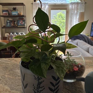 Kristin added a photo of their purchase