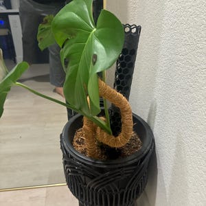 Fernando added a photo of their purchase