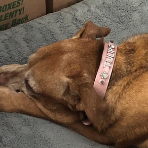 Debra added a photo of their purchase