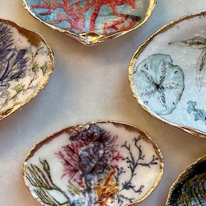 Mae added a photo of their purchase