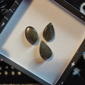 Aryann added a photo of their purchase