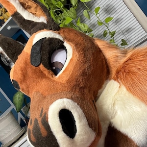 MuddyFurFarms added a photo of their purchase
