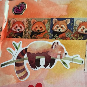 Kay さんが購入した商品の写真を追加しました