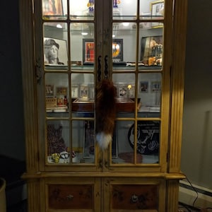 Gary added a photo of their purchase