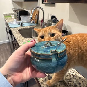 Courtney added a photo of their purchase