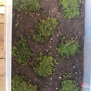 LYNDAL added a photo of their purchase