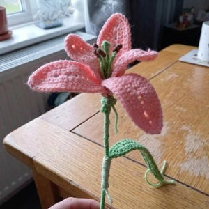 Lucia a ajouté une photo de son achat