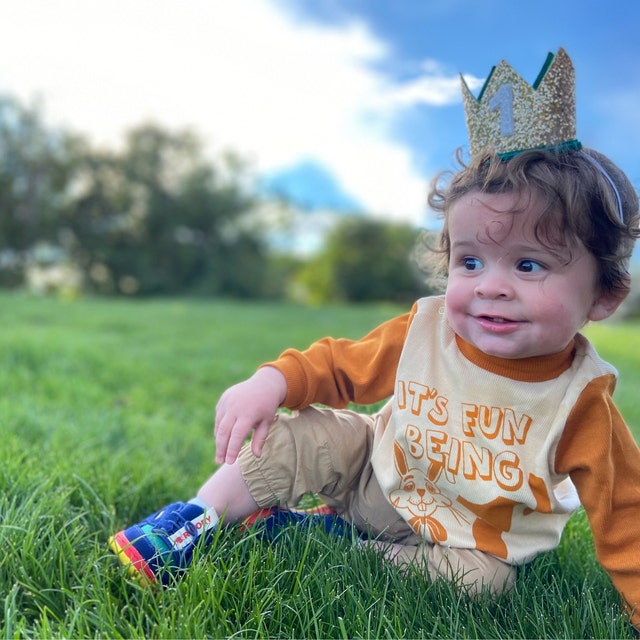 Birdyboutique Com Gold Glitter Baby Birthday Crown Lightweight