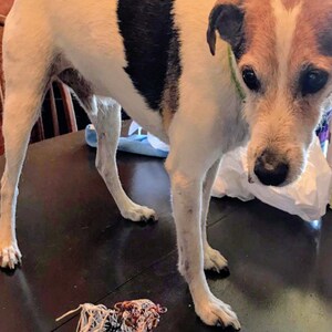 missy added a photo of their purchase
