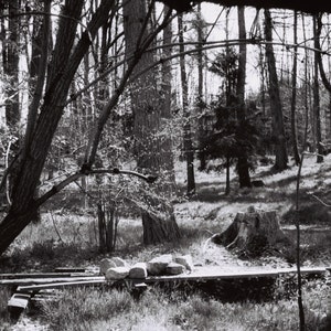 Natálie added a photo of their purchase