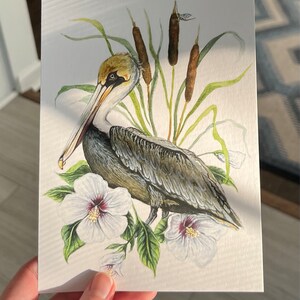 Catherine heeft een foto van de aankoop toegevoegd